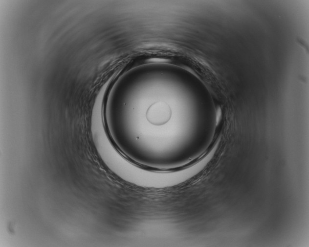 X0000099540965200805161424