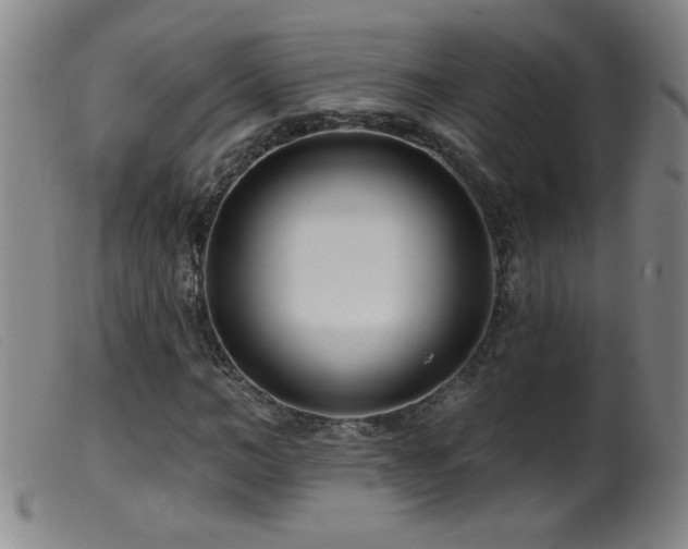 X0000099540966200805161424