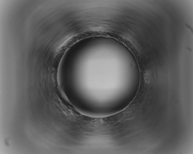 X0000099540968200805161424