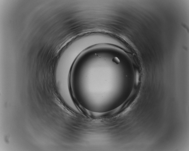 X0000099540969200805161424