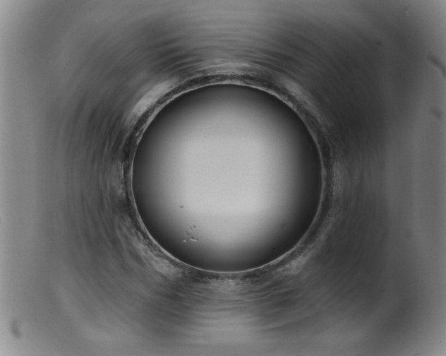 X0000099540970200805161424
