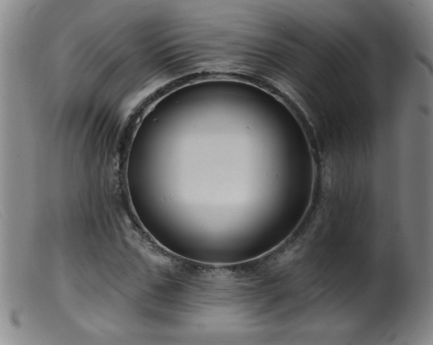 X0000099540971200805161424