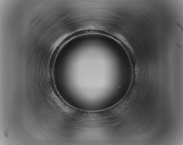 X0000099540972200805161424
