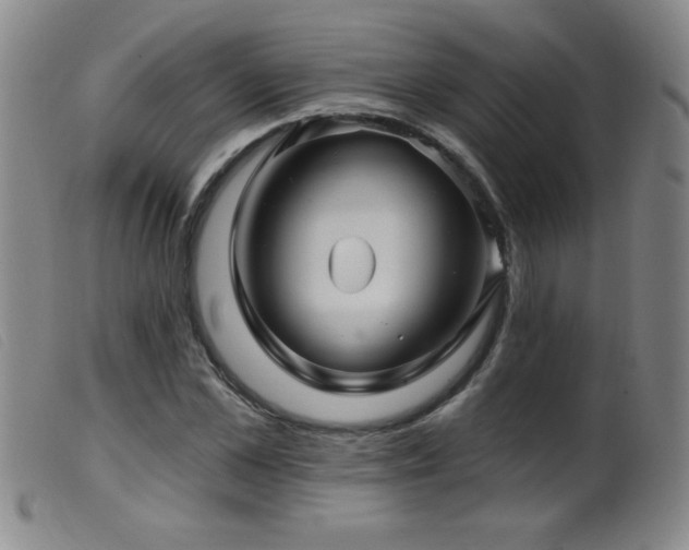X0000099540973200805161424