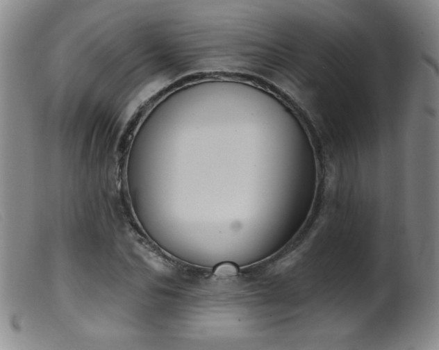 X0000099540974200805161424
