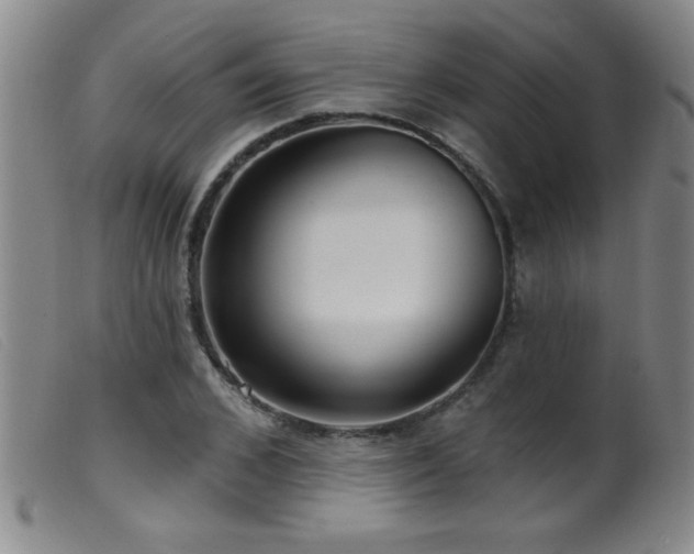 X0000099540976200805161424