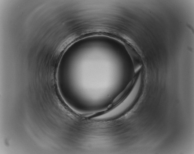 X0000099540977200805161424