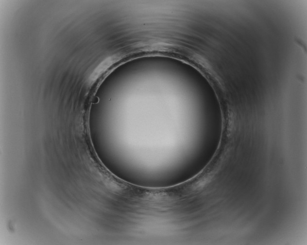 X0000099540978200805161424