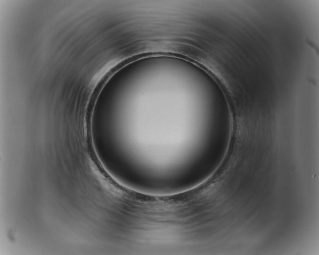 X0000099540980200805161424