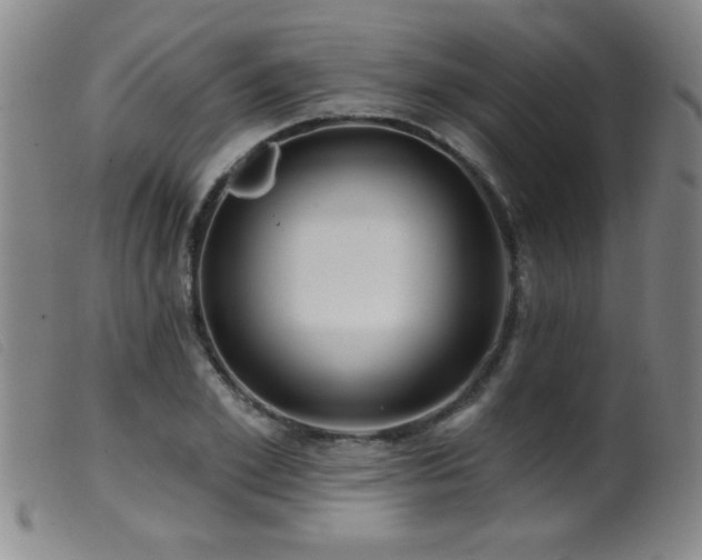 X0000099540981200805161424