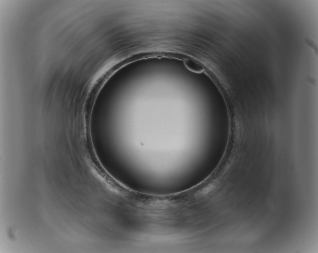 X0000099540982200805161424