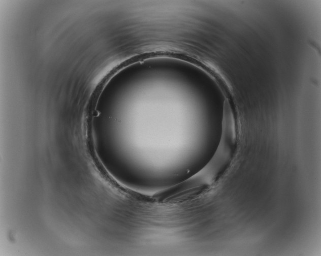 X0000099540983200805161424