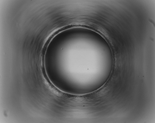 X0000099540984200805161424