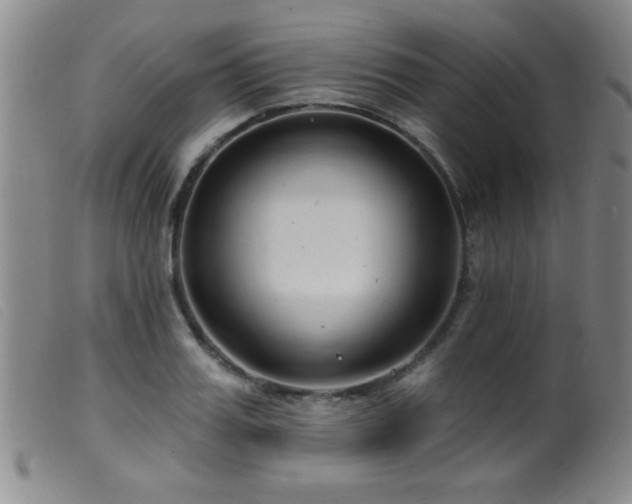 X0000099540987200805161423
