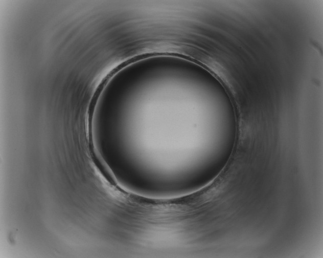 X0000099540988200805161423