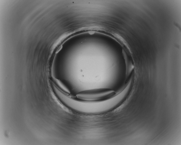 X0000099540989200805161423