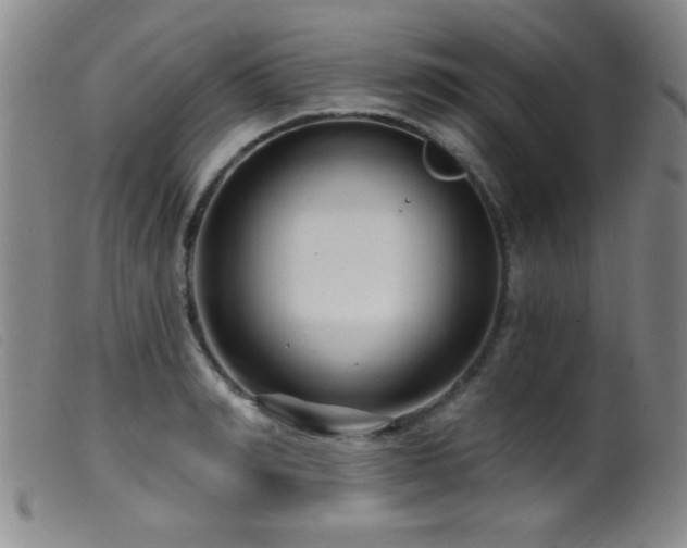 X0000099540990200805161423
