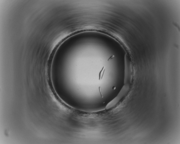 X0000099540991200805161423