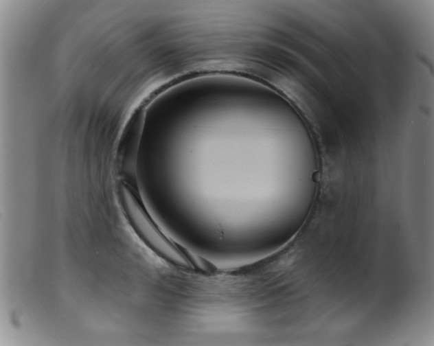 X0000099540992200805161423