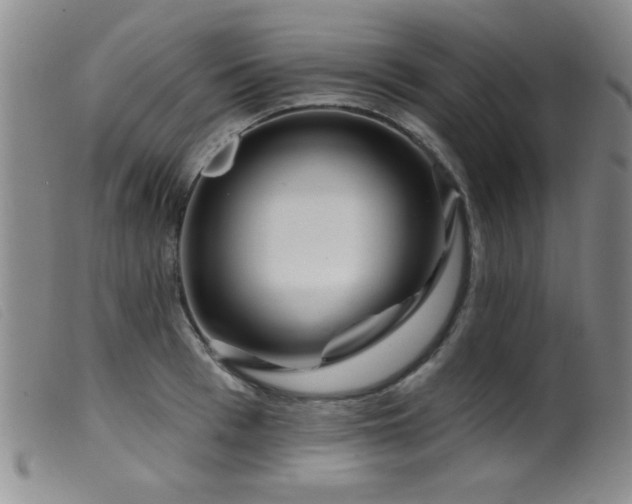 X0000099540993200805161423
