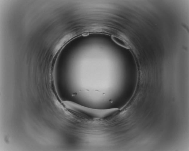 X0000099540994200805161423