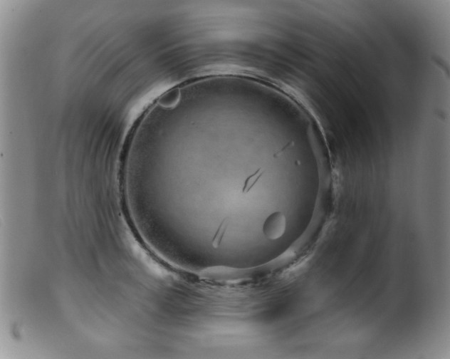 X0000099540995200805161423
