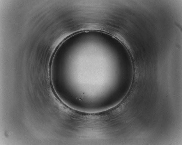 X0000099540996200805161423