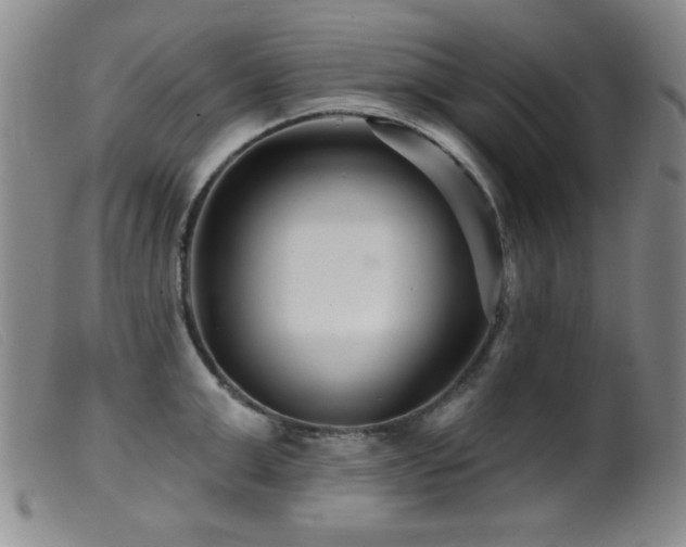 X0000099540999200805161423