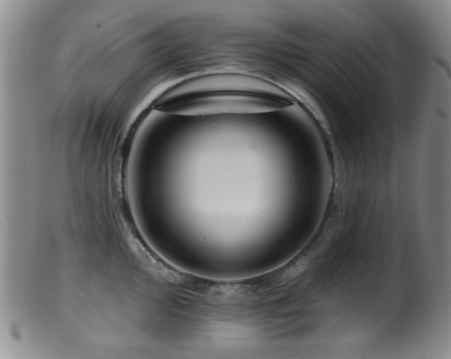X0000099541000200805161423