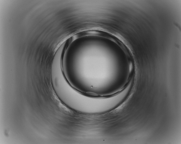 X0000099541001200805161423
