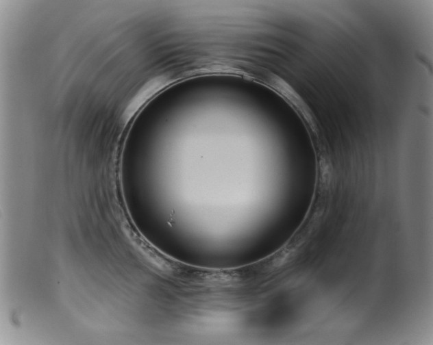 X0000099541002200805161423