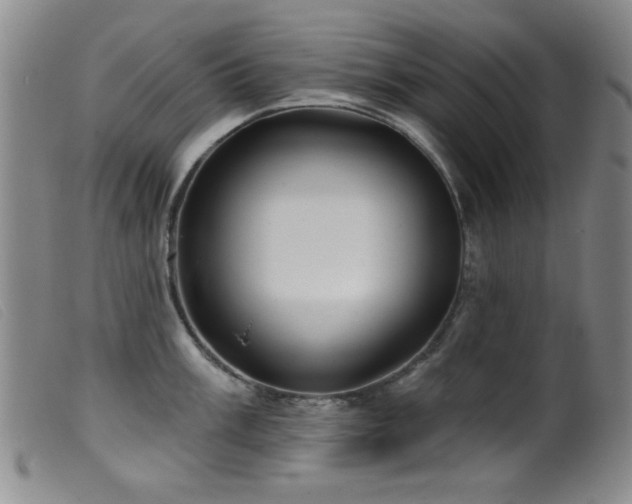 X0000099541003200805161423