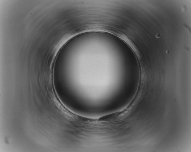 X0000099541004200805161423