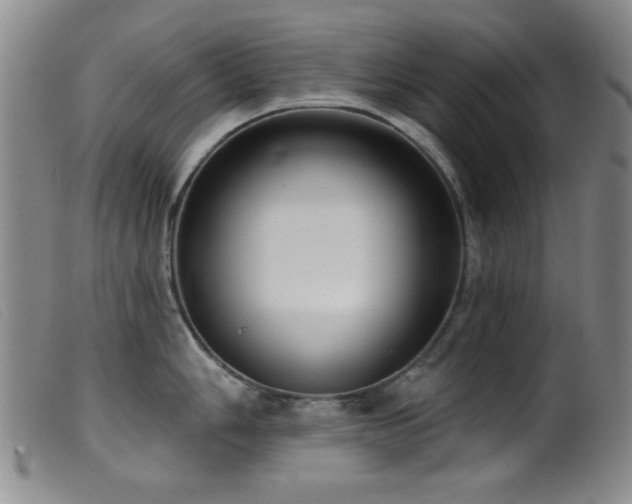 X0000099541006200805161423