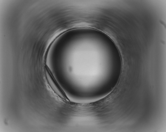 X0000099541008200805161423