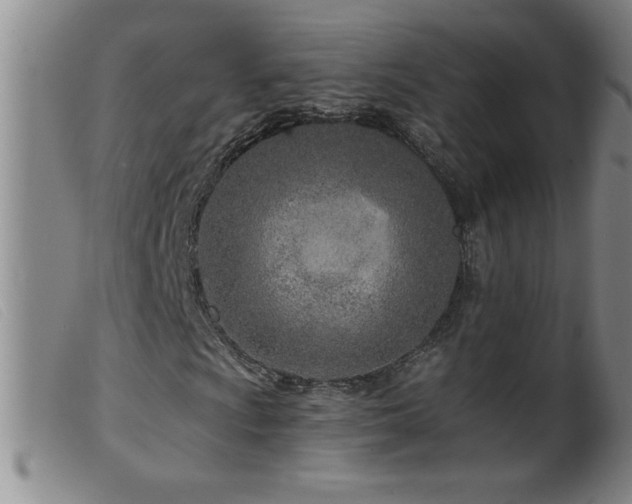 X0000099541009200805161422
