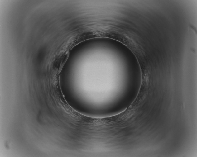 X0000099541012200805161423
