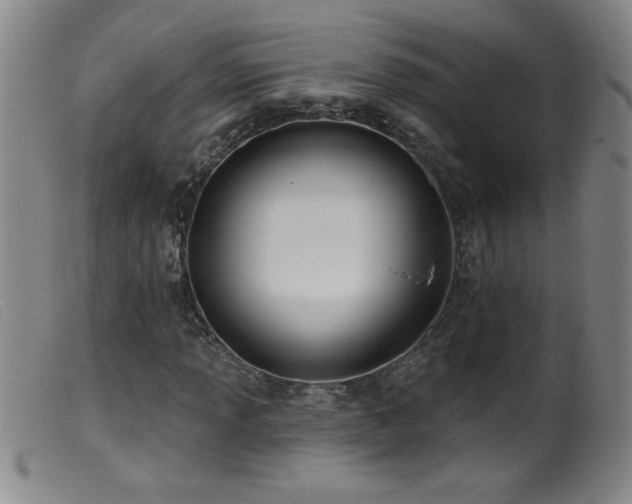 X0000099541013200805161423