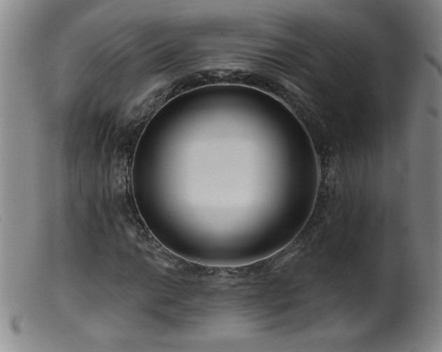 X0000099541014200805161423