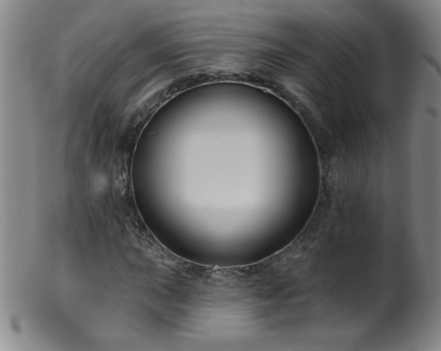 X0000099541015200805161423