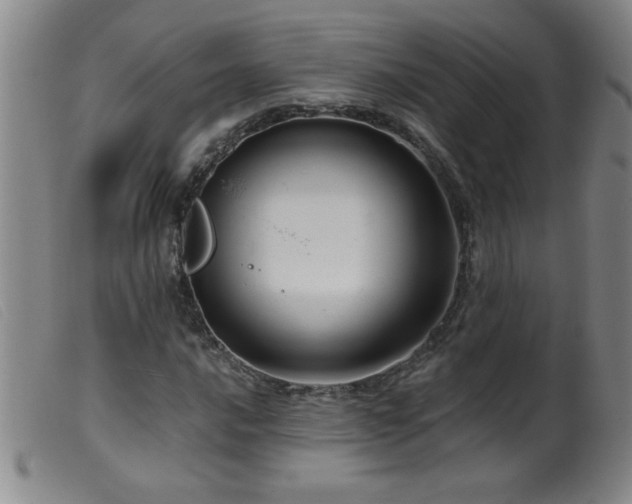 X0000099541016200805161423