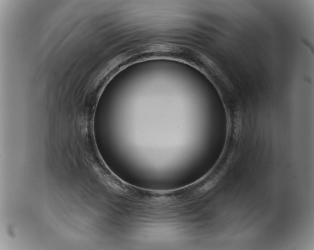 X0000099541017200805161423