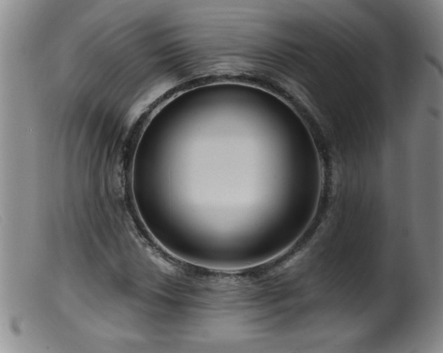 X0000099541018200805161423