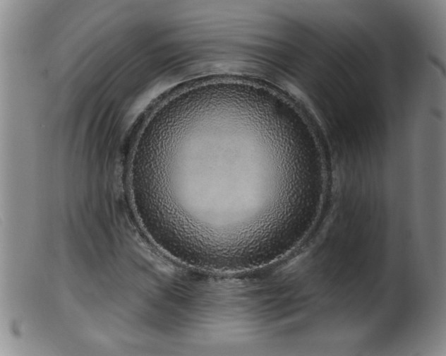 X0000099541019200805161423