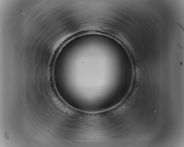 X0000099541020200805161423