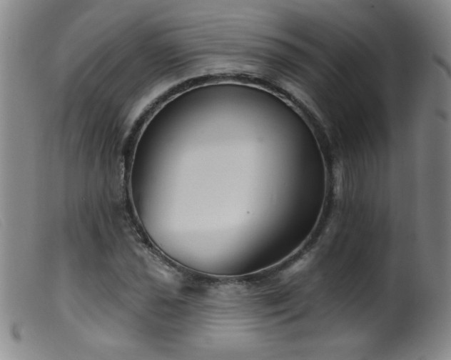 X0000099541021200805161423