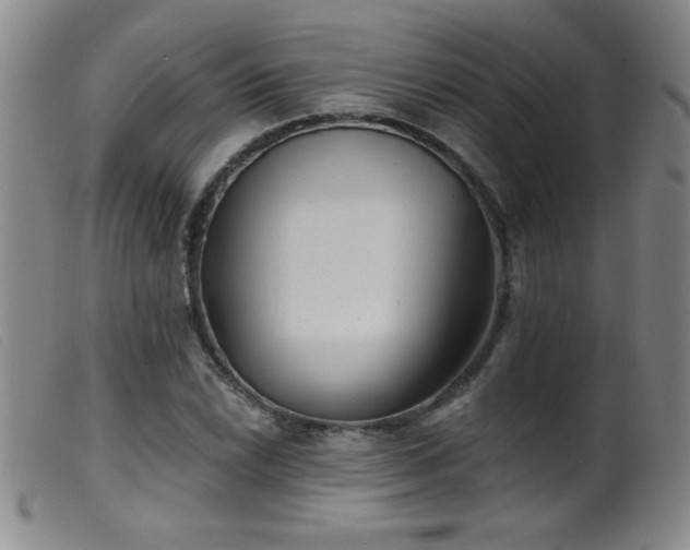 X0000099541022200805161423