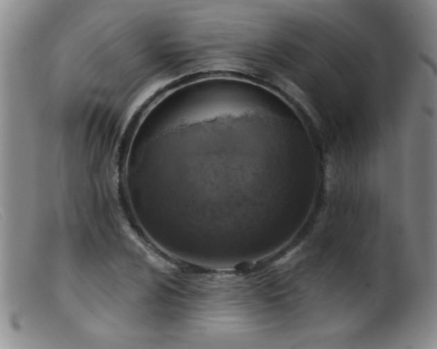 X0000099541024200805161423