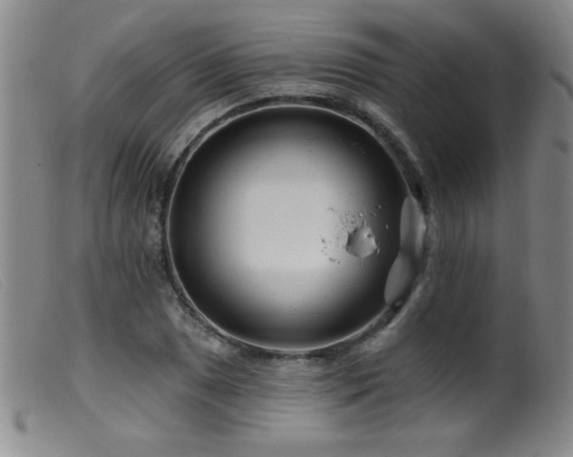 X0000099541025200805161423