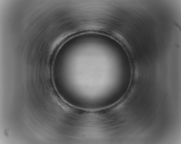 X0000099541027200805161423